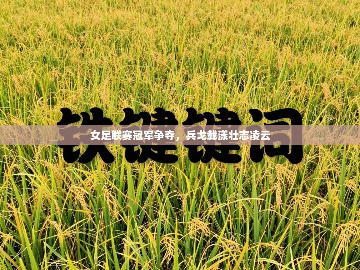 女足联赛冠军争夺,兵戈载漾壮志凌云 第1张